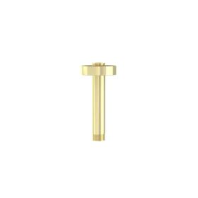 Saneux COS 100mm round ceiling mounted shower arm - Brushed Brass