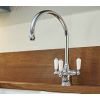 Perrin And Rowe Phoenician Kitchen Sink Mixer Tap With Filtration