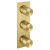 Just Taps Evo Thermostatic concealed 3 outlet shower valve Brushed Brass 63691BBR