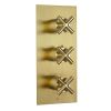 Just Taps Solex Thermostatic Concealed 2 Outlet Shower Valve, Vertical