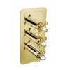 Just Taps Grosvenor Cross Antique Brass Edition Cross Thermostatic 2 Outlet Shower Valve – 325mm