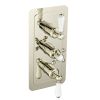Just Taps Grosvenor Lever Vertical Thermostatic 2-Outlets Concealed Shower Valve-Triple Handle-Nickel