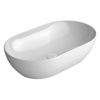 GSI Pura 60 x 37 Countertop Washbasin