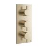 Crosswater MPRO 2 Outlet 3 Handle Thermostatic Shower Valve Brushed Brass