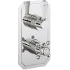 Crosswater Belgravia Lever 1000 Thermostatic Shower Valve - Slimline Backplate