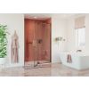 Crosswater Optix 10 Pivot Door with Inline Panel Brushed Bronze
