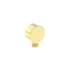 Saneux COS round shower outlet elbow – Brushed Brass