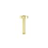 Saneux COS 100mm round ceiling mounted shower arm - Brushed Brass