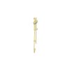 Saneux COS Slider Rail Kit - w/ 3 Function Handset and Slider Rail and 180cm Hose - Brushed Brass
