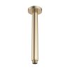 Crosswater MPRO 198mm Ceiling Shower Arm - Brushed Brass