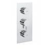 Crosswater Dial Valve 2 Control with Kai Lever Trim - Portrait
