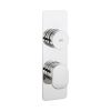 Crosswater Dial Pier Thermostatic Shower Valve