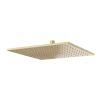 Crosswater Zion 300mm Shower Head-Brushed Brass