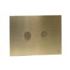 Just Taps Brushed Brass Metal Pneumatic Flush Plate
