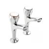 Clearwater Mercia Pillar Taps