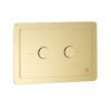 Just Tap Grosvenor Antique Brass Metal Pneumatic Flush Plate