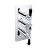 Just Taps GrosvenorBlack  Lever Thermostatic Concealed 2 Outlet Shower Valve, Vertical