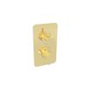 Saneux COS 2 way thermostatic shower valve kit with knurled handles - Brushed Brass