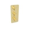 Saneux COS 3-way thermostatic shower valve kit - Brushed Brass