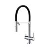 Clearwater Bellatrix Professional Kitchen Mixer Tap With Detachable Silicon Spout