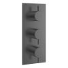 Crosswater MPRO 2 Outlet 3 Handle Thermostatic Shower Valve Slate
