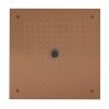 Crosswater MPRO Brushed Bronze Stream Shower Head