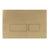 Crosswater Mike Pro Dual Flush Plate - Brushed Brass Finish