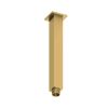 Abacus Emotion Square Fixed Ceiling Arm 250mm Brushed Brass Effect