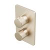 Abacus Ez Box 2.0 Finish Set 1 Outlet Brushed Nickel Iso Pro Handles