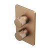 Abacus Ez Box 2.0 Finish Set 1 Outlet Brushed Bronze Iso Pro Handles