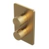 Abacus EZ Box 2.0 Finish Set 2 Outlet Brushed Brass ISO PRO Handles