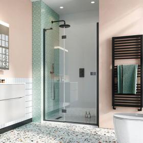 Matt Black Hinged Door with Inline Panel