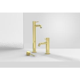 COS Brushed Brass PVD